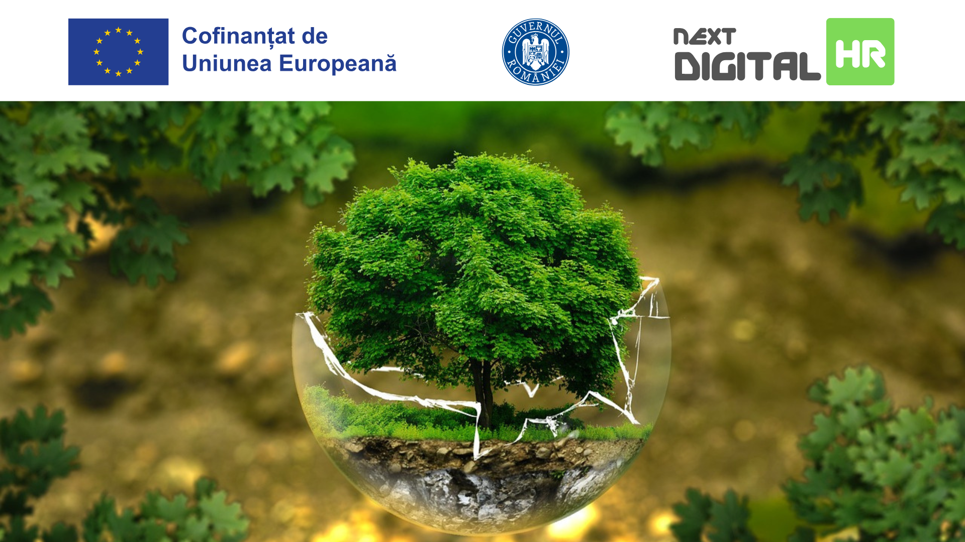 Next Digital HR –  Competențe pentru Economia Verde